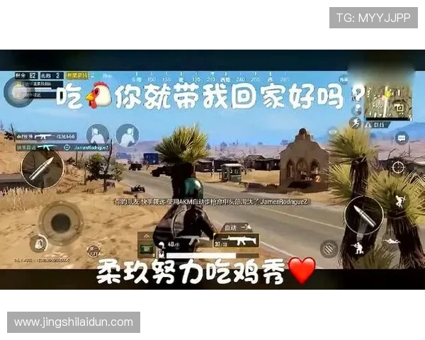 Danawa电子竞技绝地求生战队突破极限奋力拼搏力求巅峰荣耀