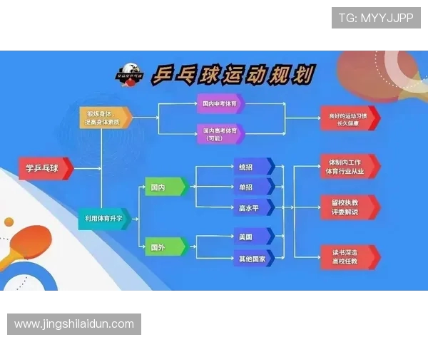 探索运动的多维价值：如何通过运动提升身心健康与生活质量