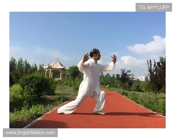 探索体育运动的多元魅力与发展趋势推动健康生活方式的全面提升