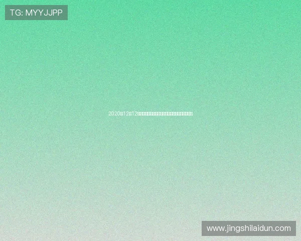 2020年12月12日火箭队对阵公牛队精彩比赛录像回放及赛后分析