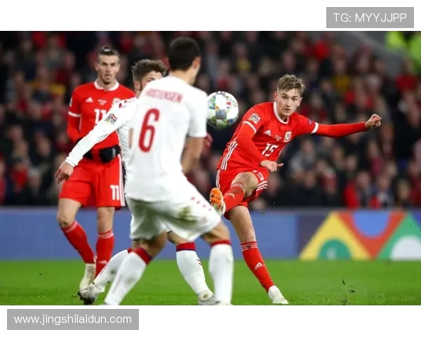 丹麦与威尔士足球对决全面分析战术特点与球队状态