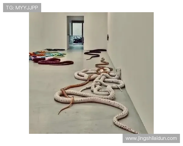 加莱诺：探索艺术与生活交融的奇妙旅程与启示